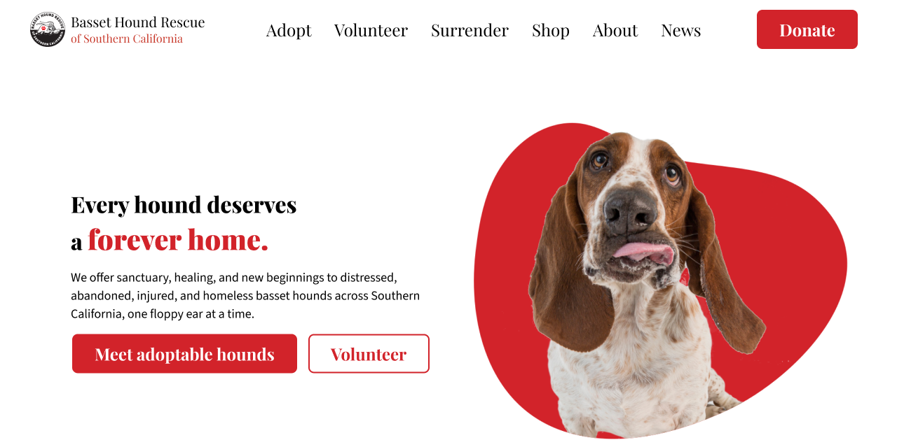 Basset Hound Banner