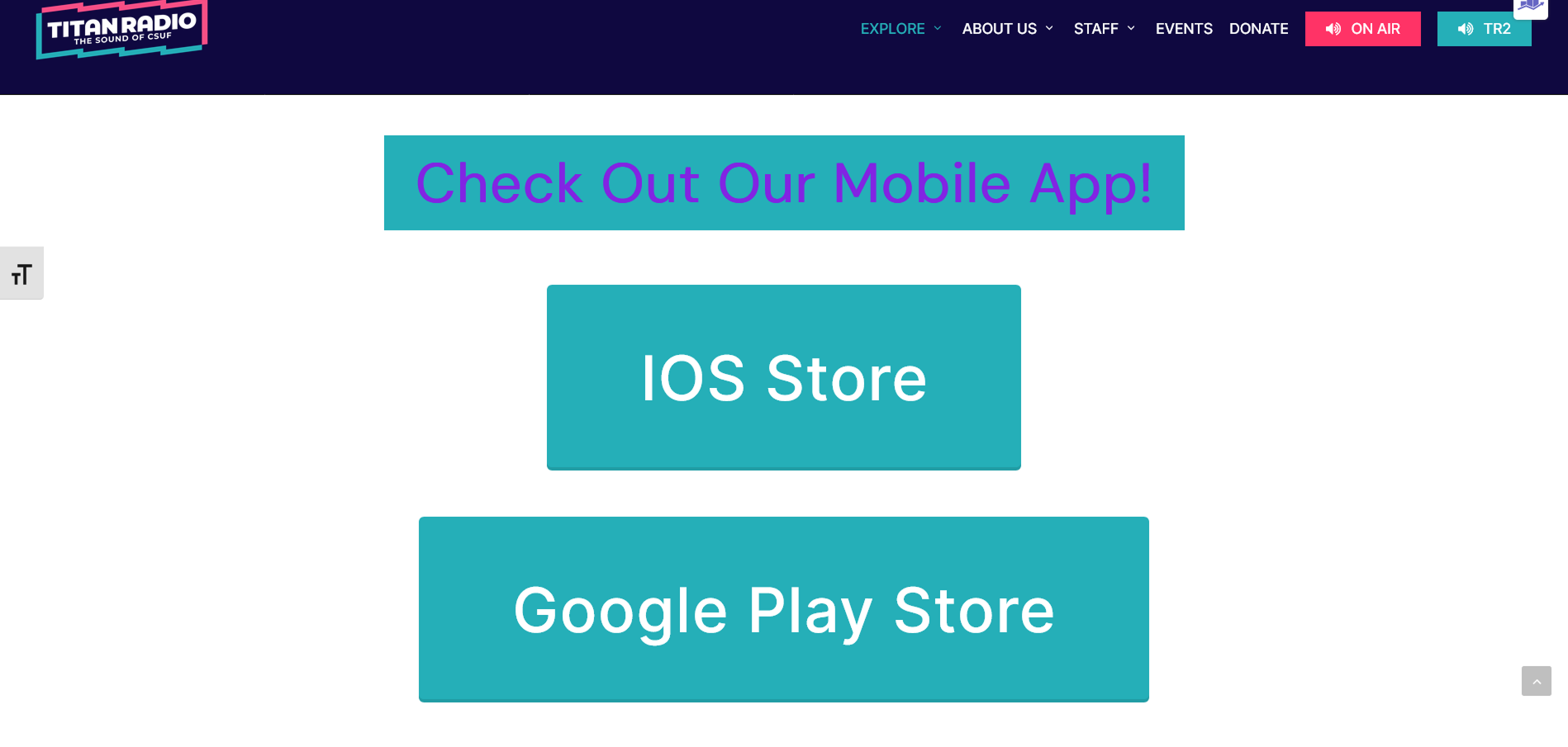 Mobile App Web Promo Page Before
