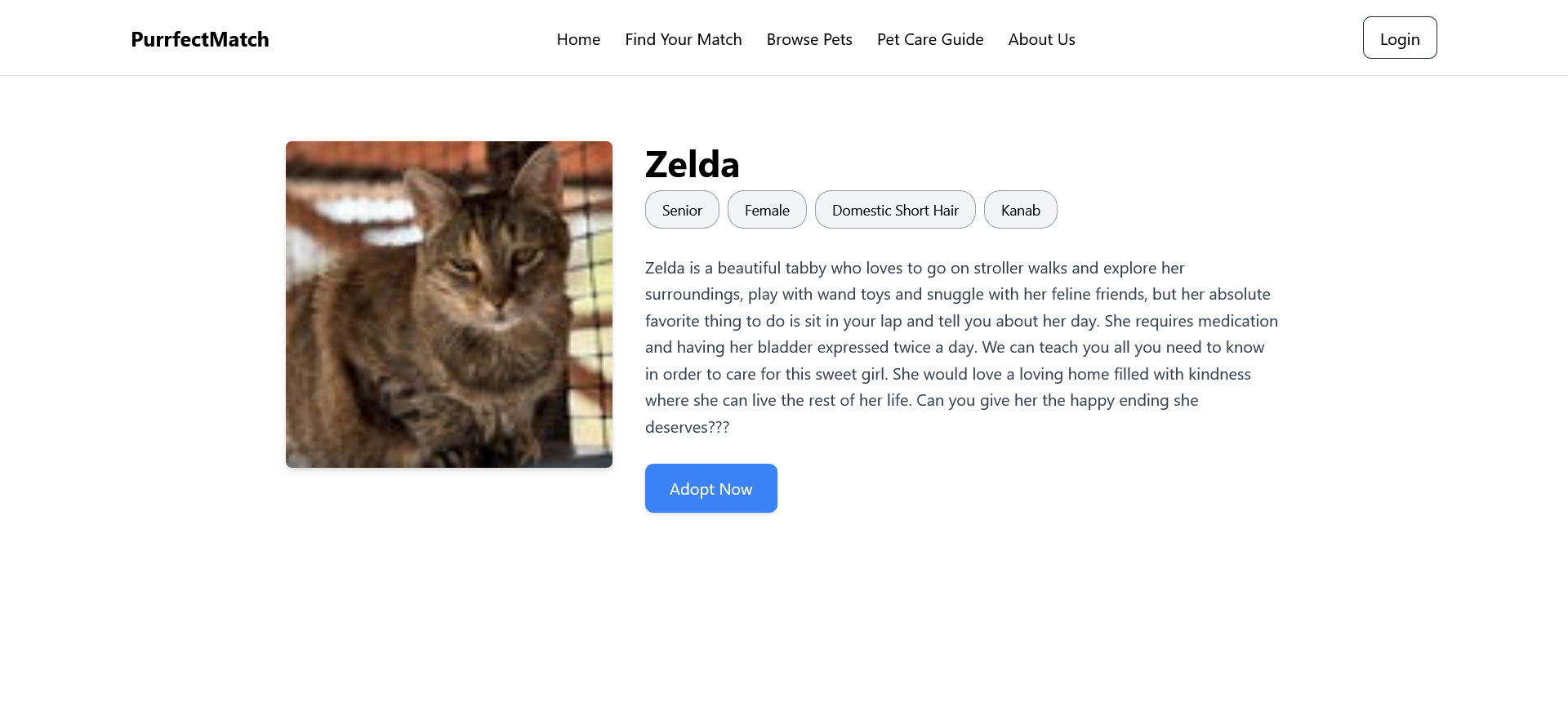 PurrfectMatch Porfile