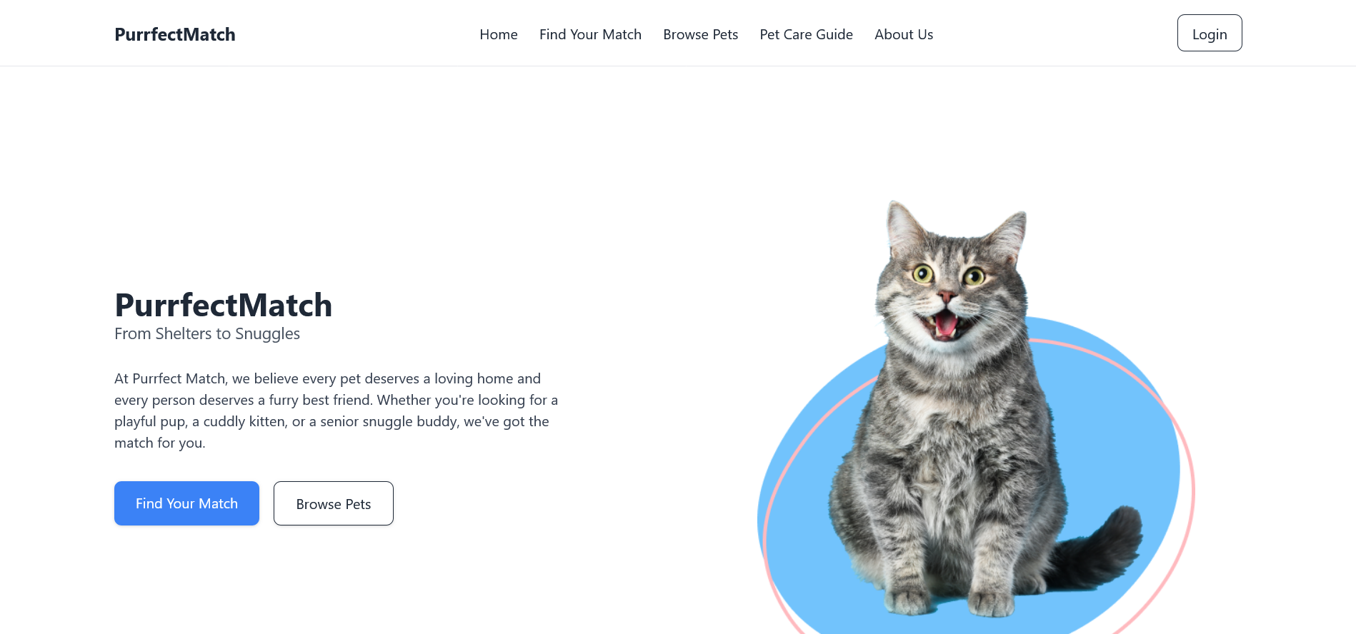 Purrfect Match Homepage