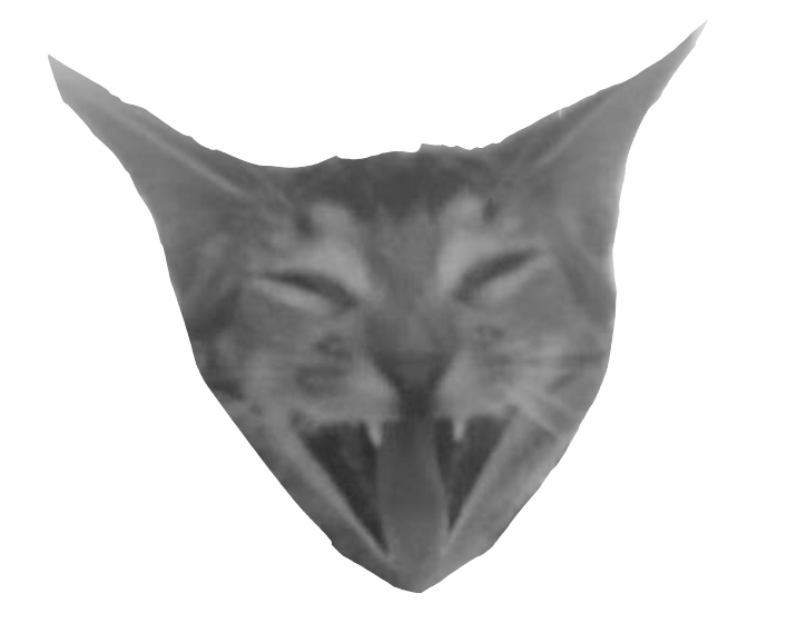 Xivu the cat yawning