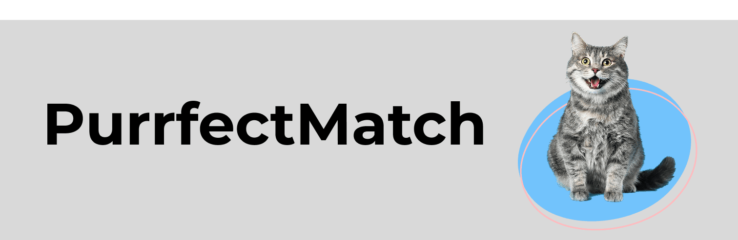 Purrfect Match Banner